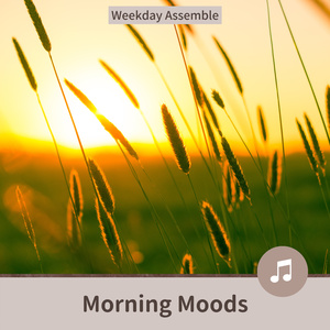 Music for the Morning of Your Life