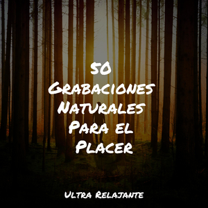 Moviéndose Hacia El Este