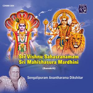 Srimad Bhagavatha Dhyana Slokam