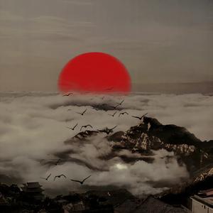 江海不渡你2024抖音热版