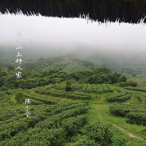 东水山上好人家 伴奏