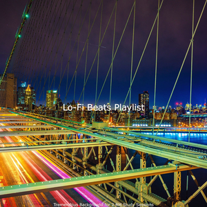 Vivacious (Ambiance for 2 AM Study Sessions)