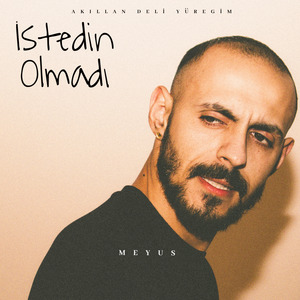 İstedin Olmadı