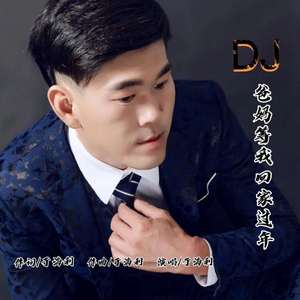 于海利 爸妈等我回家过年 （DJ）