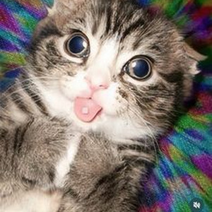 Enjoy The Show (slowed)