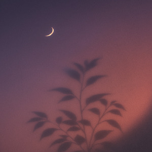 네 미소의 그림자