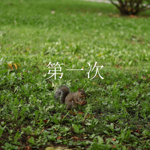 邦戈和弗兰门科(The Bongo and The Flamenco)