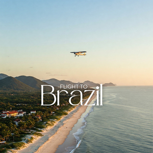 Flight to Brazil