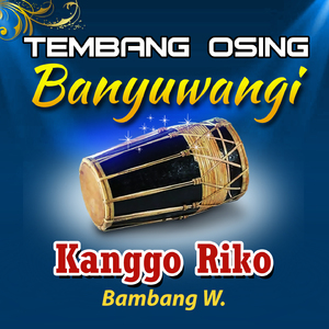 Kanggo Riko