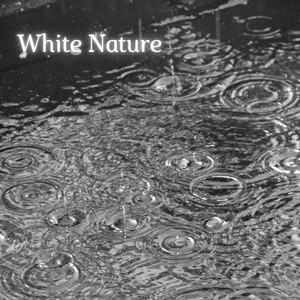 White Nimbus - Quiet Night In the Forest