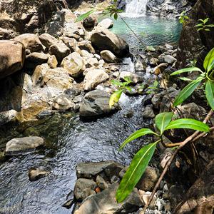 UtolsóBoszorkányüldözés