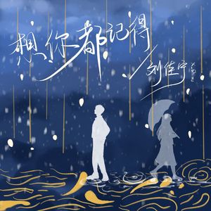 想你都记得 伴奏