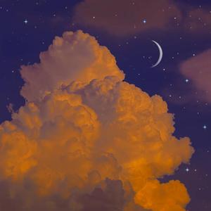 林间星河