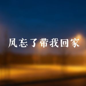 风忘了带我回家（鸽音remix）