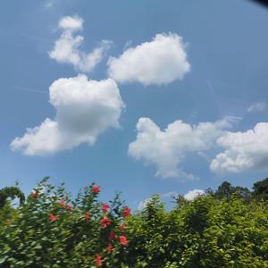 (Free)走吧！带你去广州