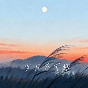 岁月不可期
