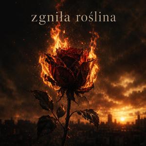 Zgniła Roślina
