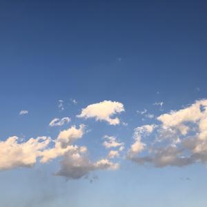 《我到大理，只为遇见你》词曲唱赵鑫