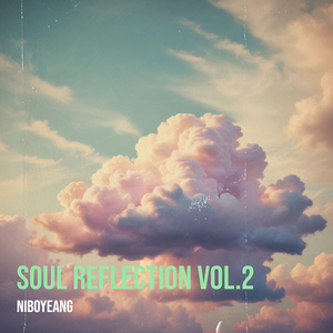 Soul Reflection, Vol.2