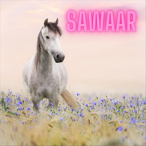 Sawaar