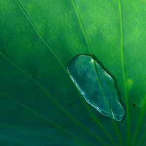 砌一座花园围墙