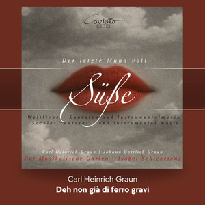 Sacra ad amore, GraunWV B:III:45: IV. Allegro: Deh non già di ferro gravi