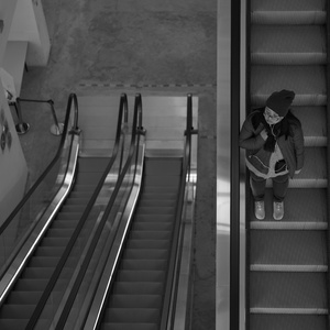 是日救星（翻自 徐佳莹）