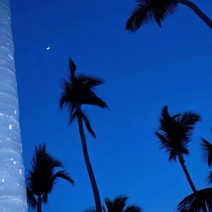 晨夜