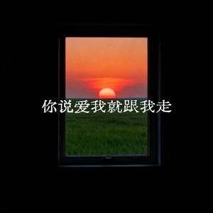 你说爱我就跟我走