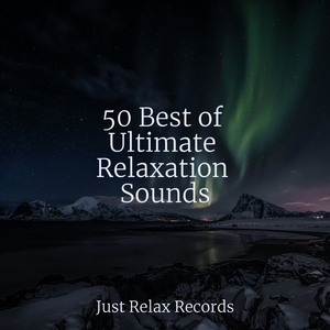 Glowing Midnight Symphony