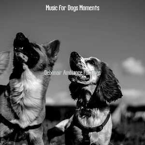 Hot Music for Cute Puppies