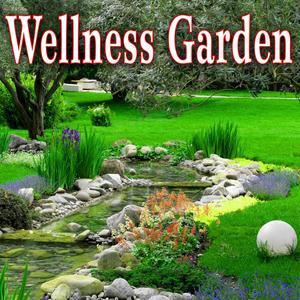 You Are the Best at Being You (Music with Bird Sounds)