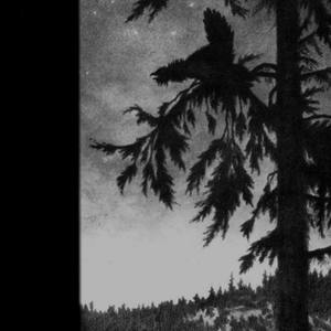 Many Moons Ago（Cover Empyrium）