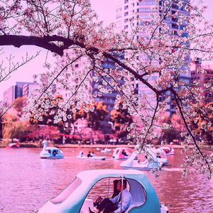 音楽(東京ナイト)