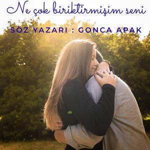 Ne çok Biriktirmişim Seni