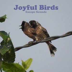 Joyful Birds