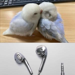 my heart beats for no one