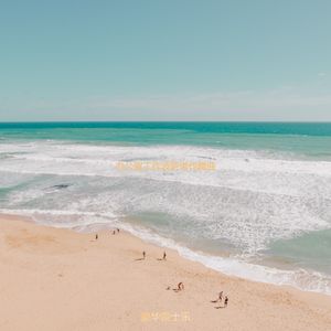 办公室工作欢快的波萨诺伐舞曲