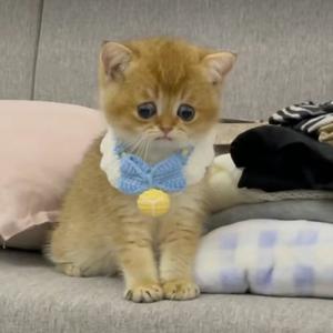 墩墩  你要开心