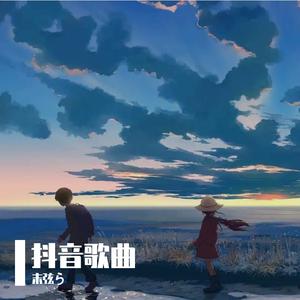 夜空中最亮的星（ 快手dj版）