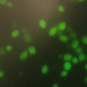 融入 AI 的自由生活