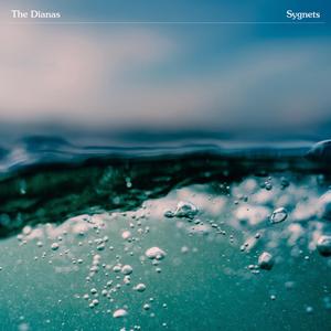 Sygnets