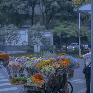 期盼明天（片段）（翻自 杜天宇）