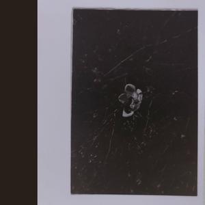 My Luck Is Running Dry