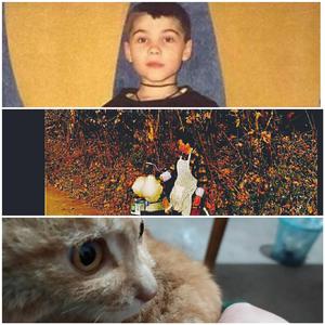 DANGDAI乡村仔心碎