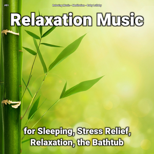 Lovely Yoga Music for Studying