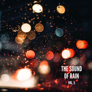 Rain Library, Sounds of Thunderstorms to Sleep Pt. 2