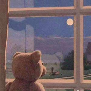 我的一个名人朋友