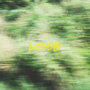 诚实的星期六 VOICE