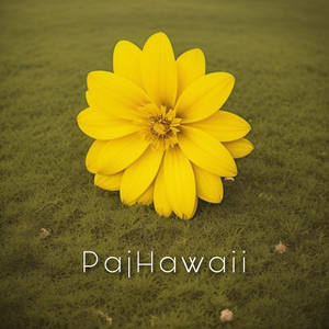 PajHawaii